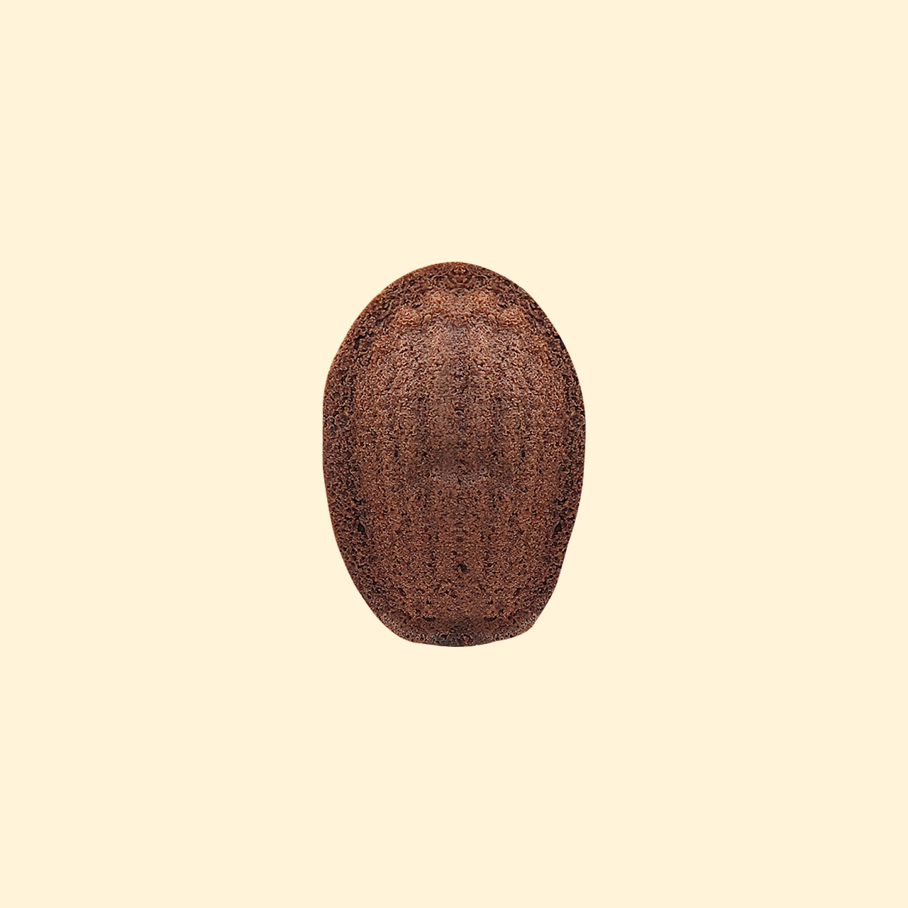 초코 마들렌 (Chocolate madeleine)